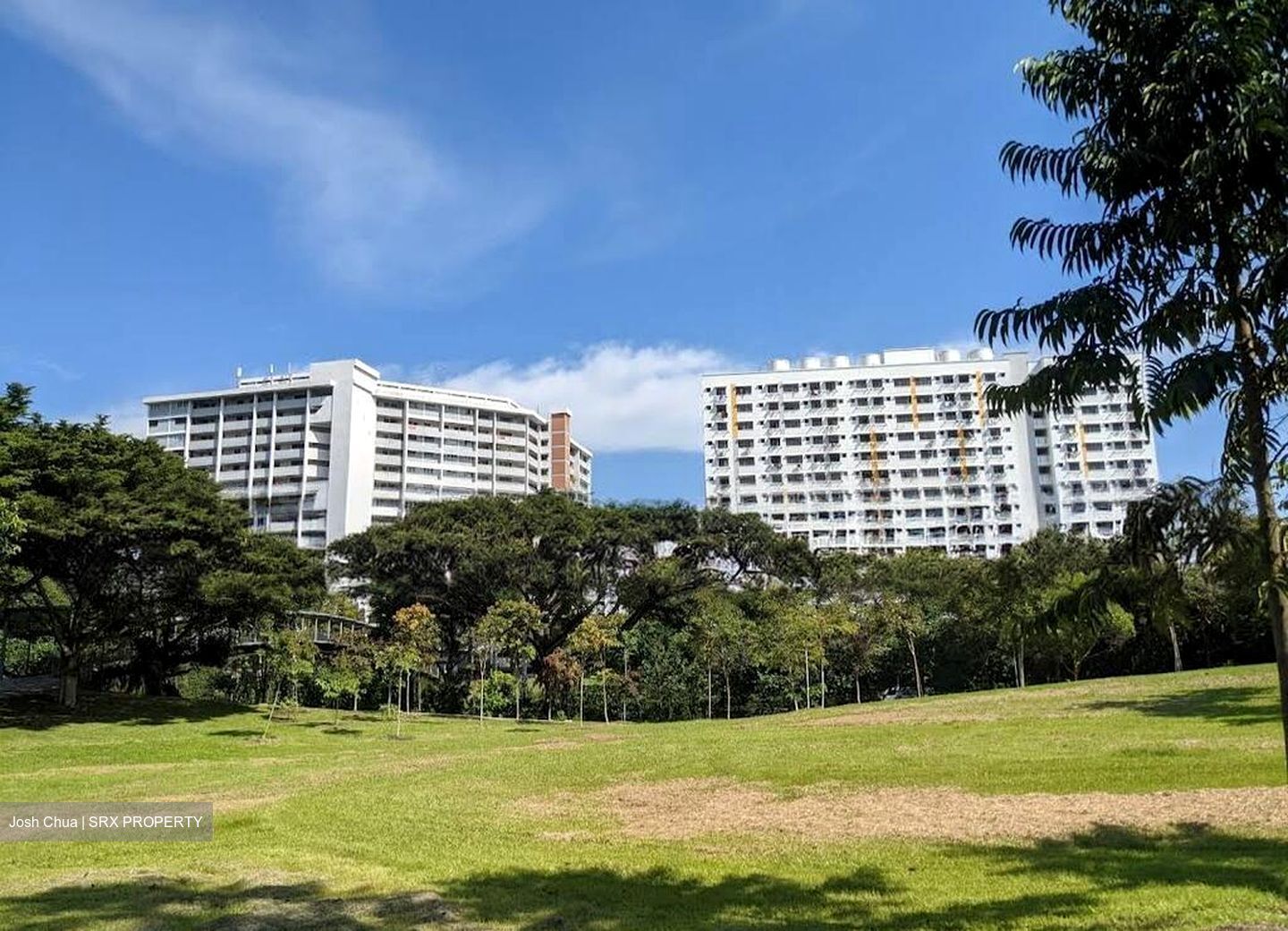 Bedok Reservoir Road (D16), Shop House #567440191